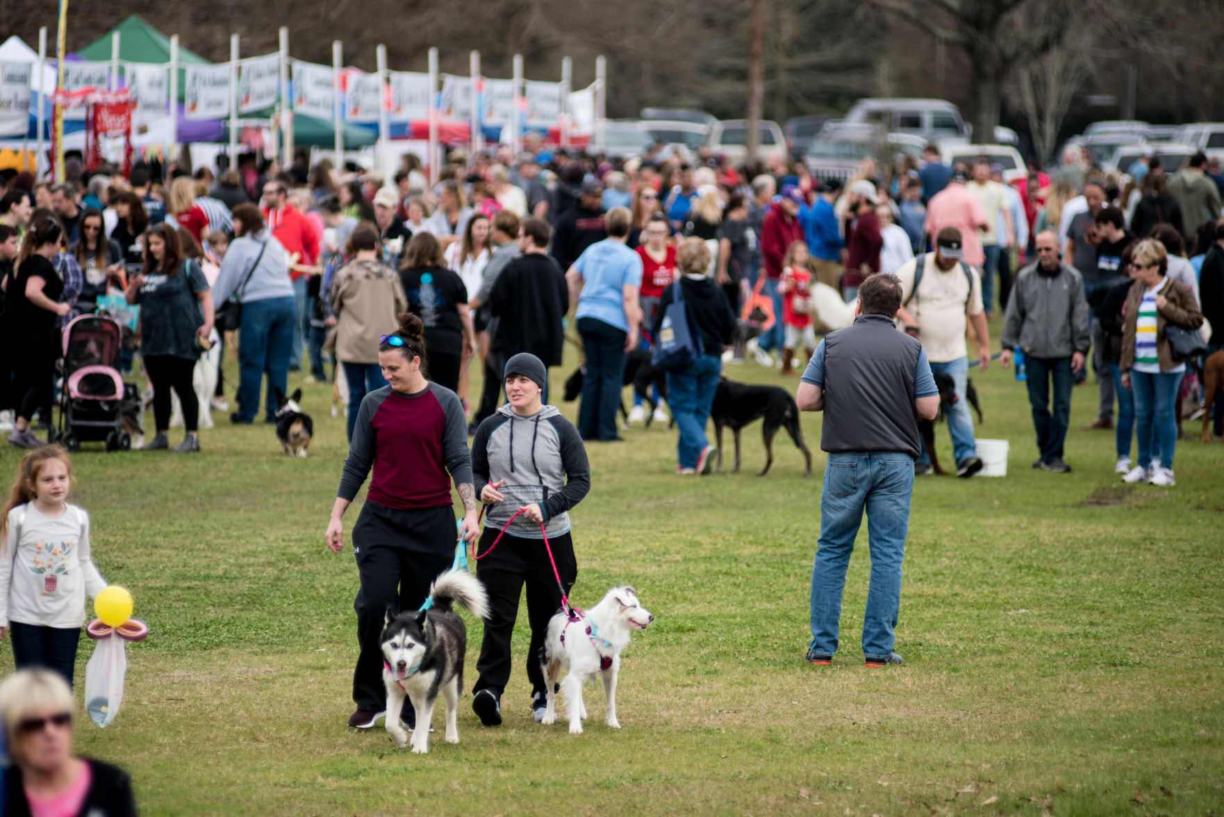 NO.petfest.021119.01203.jpg